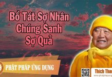 Bồ Tát Sợ Nhân Chúng Sanh Sợ Quả – Thích Thanh Từ bo tat so nhan chung sanh so qua
