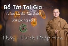 Bồ Tát Tại Gia 1 – Thích Pháp Hòa bo tat tai gia 1 thich phap hoa