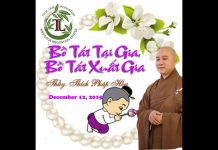 Bồ Tát Tại Gia, Bồ Tát Xuất Gia (vấn đáp) – Thích Pháp Hòa bo tat tai gia bo tat xuat gia v