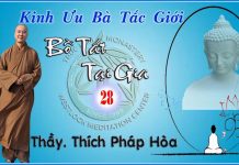 Bồ Tát Tại Gia Phần 28 – Thích Pháp Hòa bo tat tai gia phan 28 thich pha