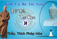 Bồ Tát Tại Gia Phần 30 – Thích Pháp Hòa bo tat tai gia phan 30 thich pha