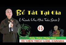 Bồ Tát Tại Gia Phần 45 – Thích Pháp Hòa bo tat tai gia phan 45 thich pha