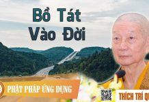 Bồ Tát Vào Đời – Thích Trí Quảng bo tat vao doi thich tri quang