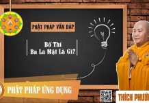 Bố Thí Ba La Mật Là Gì? – Thích Phước Tiến bo thi ba la mat la gi thich phu