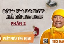 Bổ Túc Kinh Bát Nhã Và Kiến Giải Điên Khùng 2/2 – Thích Thanh Từ bo tuc kinh bat nha va kien giai 1