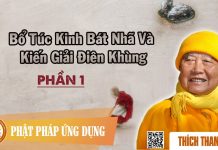 Bổ Túc Kinh Bát Nhã Và Kiến Giải Điên Khùng 1/2 – Thích Thanh Từ bo tuc kinh bat nha va kien giai