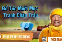 Bổ Túc Mười Mục Tranh Chăn Trâu – Thích Thanh Từ bo tuc muoi muc tranh chan trau