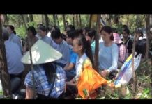 Bốn Chất Liệu Tạo Nên Đời Sống Thành Công Của Chúng Ta – Thích Thái Hòa bon chat lieu tao nen doi song t