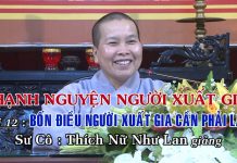 Bốn Điều Người Xuất Gia Cần Phải Làm – Thích Nữ Như Lan bon dieu nguoi xuat gia can phai