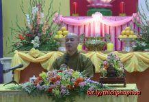 Bốn Hạng Người Nghe Pháp – Thích Pháp Hòa bon hang nguoi nghe phap thich p