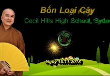 Bốn loại cây – Thích Pháp Hòa bon loai cay thich phap hoa
