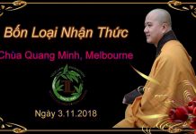 Bốn Loại Nhận Thức – Thích Pháp Hòa bon loai nhan thuc thich phap ho