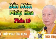 Bổn Môn Pháp Hoa phần 10 – Thích Trí Quảng bon mon phap hoa phan 10 thich t