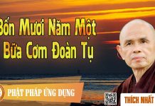 Bốn Mươi Năm Một Bữa Cơm Đoàn Tụ – Thích Nhất Hạnh bon muoi nam mot bua com doan tu