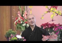Bốn Pháp Cảm Hóa Người – Thích Pháp Hòa bon phap cam hoa nguoi thich pha