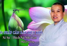Bốn Pháp Căn Bản Diệt Khổ – Thích Nữ Như Lan bon phap can ban diet kho thich