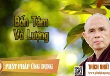 Bốn Tâm Vô Lượng – Thích Nhất Hạnh bon tam vo luong thich nhat hanh