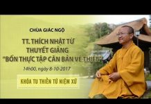Bốn Thực Tập Căn Bản Về Thiền – Thích Nhật Từ bon thuc tap can ban ve thien th