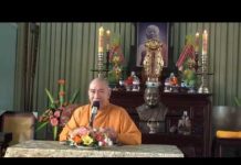 Bóng Dáng Của Niết Bàn – Thích Tâm Đức bong dang cua niet ban thich tam