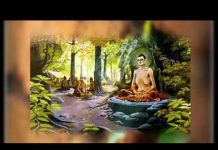 Bước Chân Tỉnh Thức – Thích Chân Tính buoc chan tinh thuc thich chan t