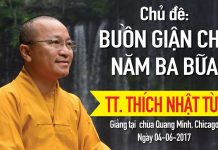 Buồn Giận Chi Năm Ba Bữa – Thích Nhật Từ buon gian chi nam ba bua thich n