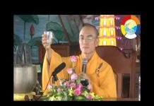 Buồn Làm Sao Buông – Thích Thiện Tuệ buon lam sao buong thich thien t