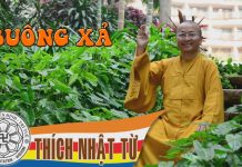 Buông xả 3 (22/10/2004) – Thích Nhật Từ buong xa 3 22 10 2004 thich nhat