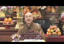 Cá Nhảy Khỏi Lưới – Thích Pháp Hòa ca nhay khoi luoi thich phap hoa