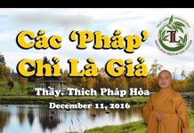 Các Pháp Chỉ Là Giả – Thích Pháp Hòa cac phap chi la gia thich phap h