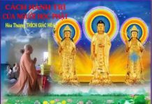 Cách Hành Trì Của Người Học Phật – Thích Giác Hóa cach hanh tri cua nguoi hoc phat
