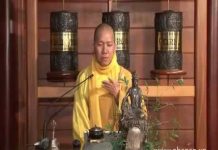 Cách Hành Trì Hơi Thở Của Phật Phần 2 – Thích Minh Thành cach hanh tri hoi tho cua phat p 1