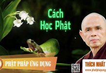 Cách Học Phật – Thích Nhất Hạnh cach hoc phat thich nhat hanh
