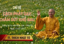 Cách Phật Dạy Chấm Dứt Khổ Đau – Thích Nhật Từ cach phat day cham dut kho dau t