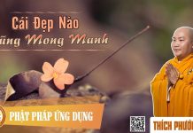 Cái Đẹp Nào Cũng Mong Manh – Thích Phước Tiến cai dep nao cung mong manh thich