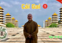 Cái Gai Phần 1 – Thích Pháp Hòa cai gai phan 1 thich phap hoa