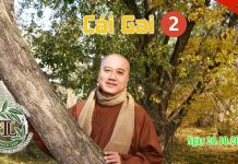 Cái Gai Phần 2 – Thích Pháp Hòa cai gai phan 2 thich phap hoa