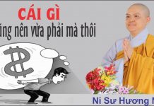 Cái gì cũng nên vừa phải mà thôi – Thích Nữ Hương Nhũ cai gi cung nen vua phai ma thoi