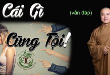 Cái Gì Cũng Tội (Vấn Đáp) – Thích Pháp Hòa cai gi cung toi van dap thich ph