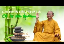 Cái nhìn như thật và cốt lõi thiền Vipassana – Thích Nhật Từ cai nhin nhu that va cot loi thi