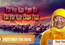 Cái Vui Nào Tạm Bợ Cái Vui Nào Chân Thật – Hòa thượng Thích Thanh Từ cai vui nao tam bo cai vui nao c