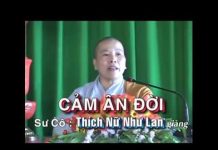 Cảm Ân Đời – Thích Nữ Như Lan cam an doi thich nu nhu lan