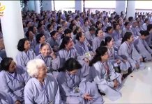 Cam Lồ Tịnh Thủy (KT31) – Thích Đồng Thành cam lo tinh thuy kt31 thich dong