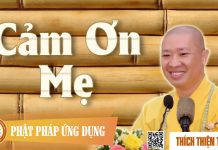 Cảm Ơn Mẹ (KT57) – Thích Thiện Thuận cam on me kt57 thich thien thuan