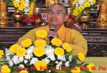 Cảm Ơn – Thích Thiện Tuệ cam on thich thien tue