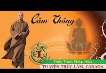 Cảm Thông – Thích Pháp Hòa cam thong thich phap hoa