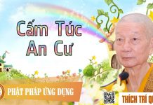 Cấm Túc An Cư – Thích Trí Quảng giảng 2016 cam tuc an cu thich tri quang gi