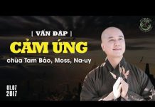 Cảm Ứng (Vấn Đáp) – Thích Pháp Hòa cam ung van dap thich phap hoa