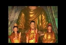 Cân Bằng Thân Tâm – Thích Tuệ Hải can bang than tam thich tue hai