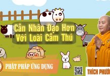 Cần Nhân Đạo Hơn Với Loài Cầm Thú (KT69) – Thích Phước Tiến can nhan dao hon voi loai cam th