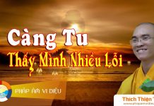 Càng Tu Càng Thấy Mình Nhiều Lỗi – Thích Thiện Tuệ cang tu cang thay minh nhieu loi